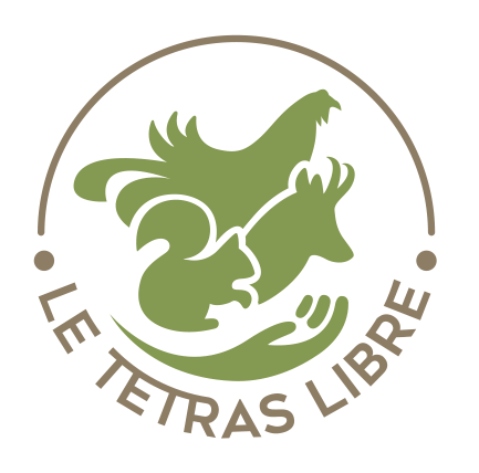 Le Tétras Libre – Centre de Sauvegarde de la Faune Sauvage des Pays de Savoie