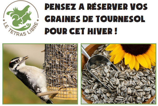 Graines de tournesol pour oiseaux sauvages, 15 kg