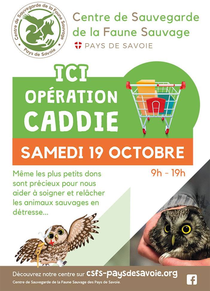 Opération caddie